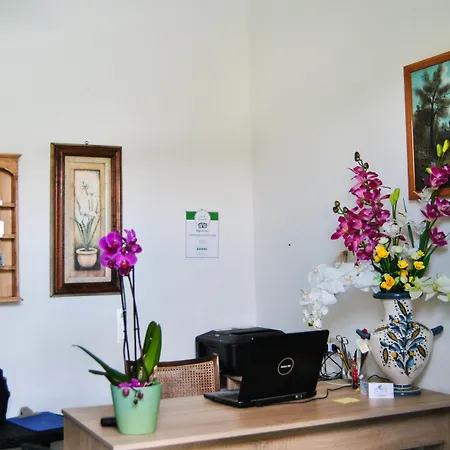 Apartmán Raffaela - Lacco Ameno (Isola d'Ischia)