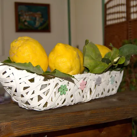 Raffaela - Apartmán Lacco Ameno (Isola d'Ischia)